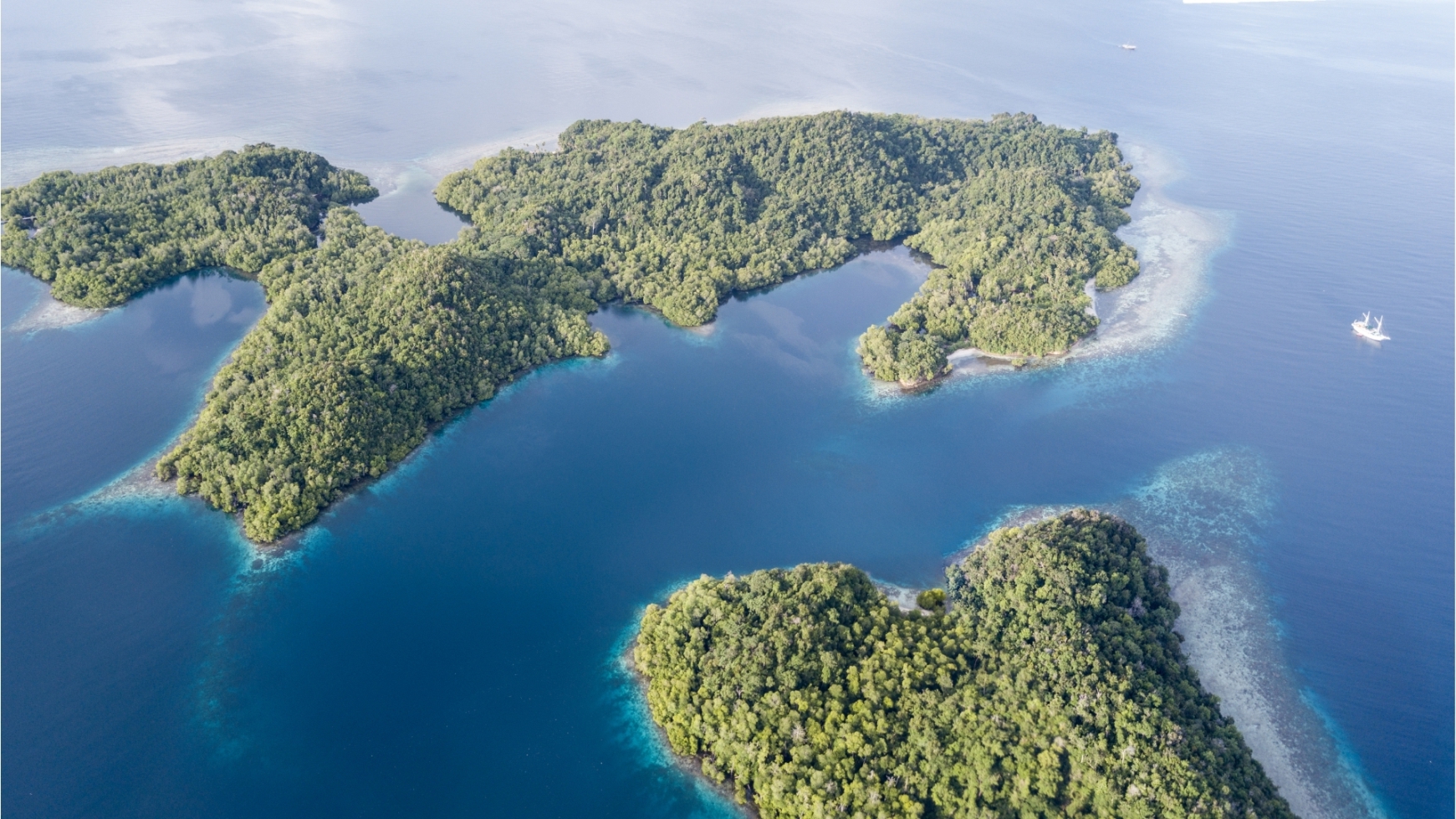 Brasil passa a integrar o Protocolo de Nagoya sobre biodiversidade